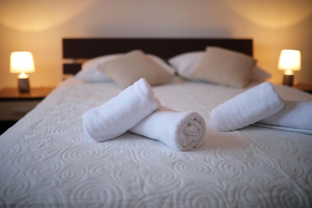 Luxury Apartment Petra With Private Pool Zadar Buitenkant foto